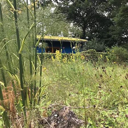 Blaue Haus Ortholz